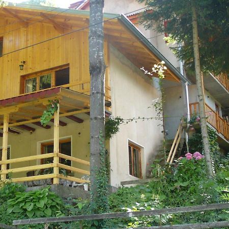 Mountain Sun Guest House Chiflik Eksteriør billede