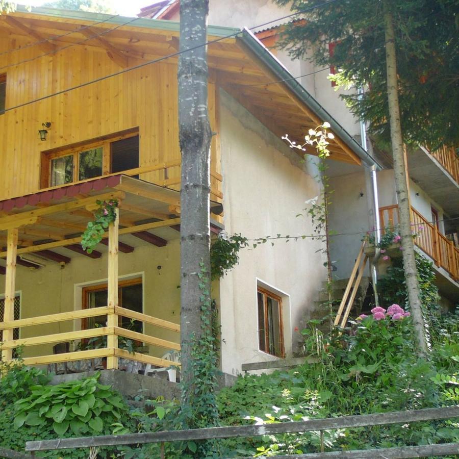 Mountain Sun Guest House Chiflik Eksteriør billede